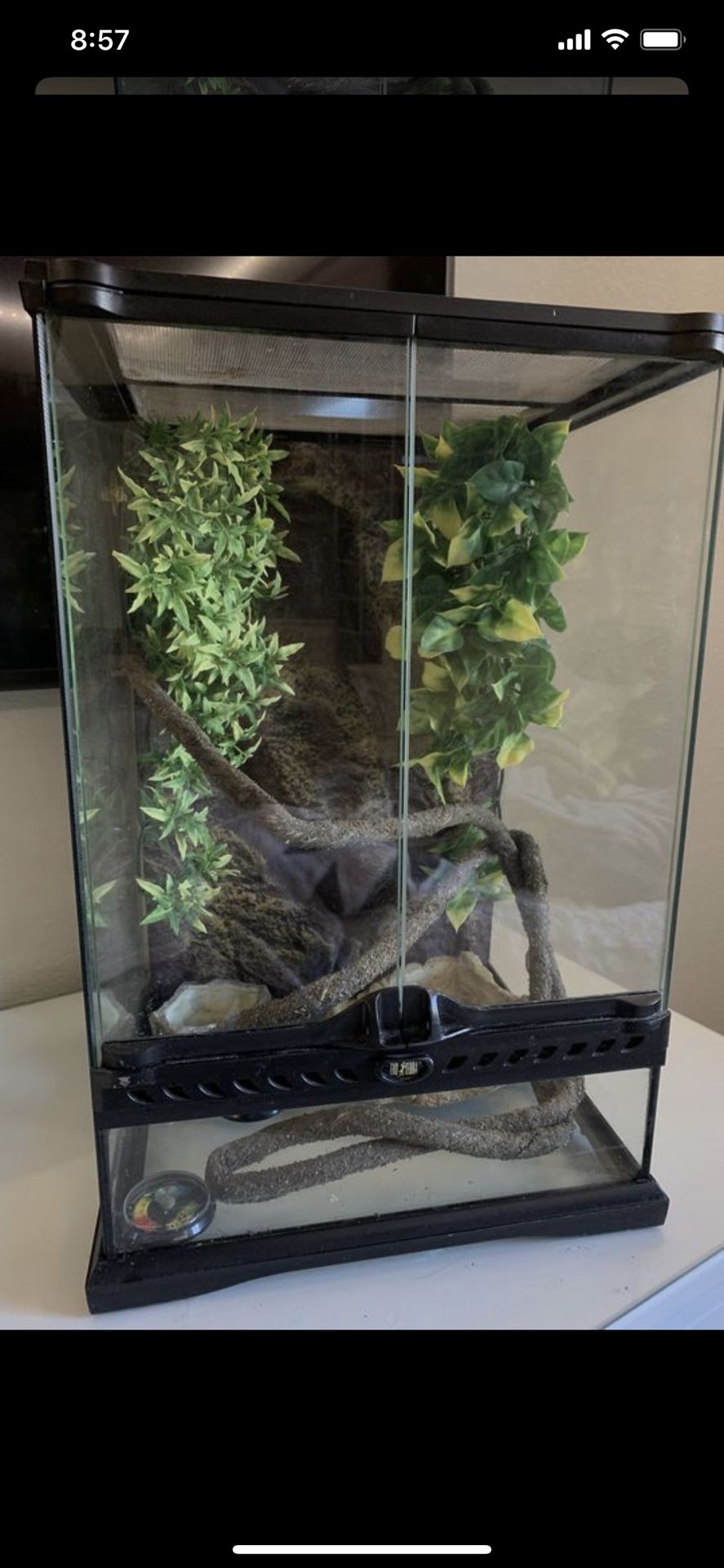 Terrarium