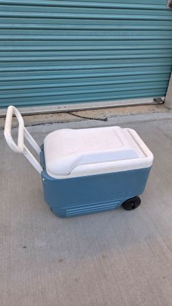 Igloo Icechest Cooler