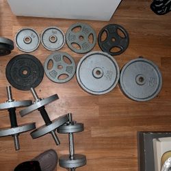 Weights And Curl Bar 
