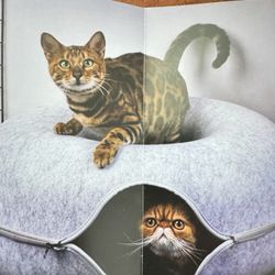 CATTASAURUS Peekaboo Cat Cave