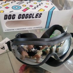Dog Goggles 🐕 