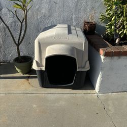 Dog House