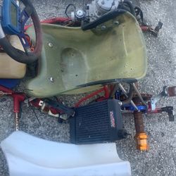 Racing 2 Stroke 125 Track Cart