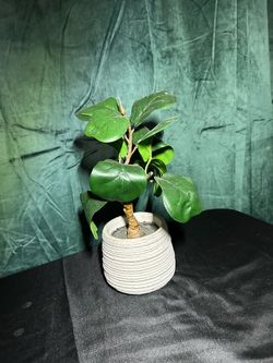 Planta artificial para decoración $7
