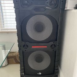 Big professional speaker