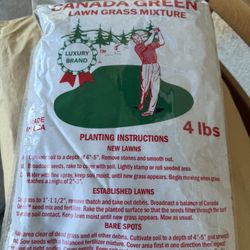 Semilla Green Canadá 