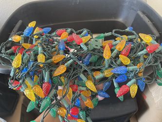 Christmas Lights 