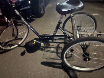Trike bicycle