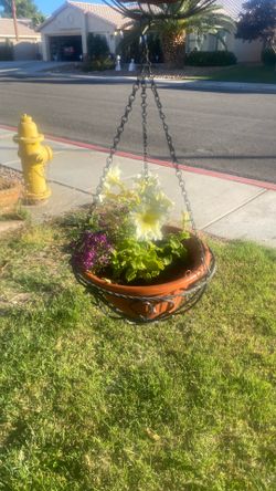 Metal Planter And Pot Petunias And Purple Alusium 