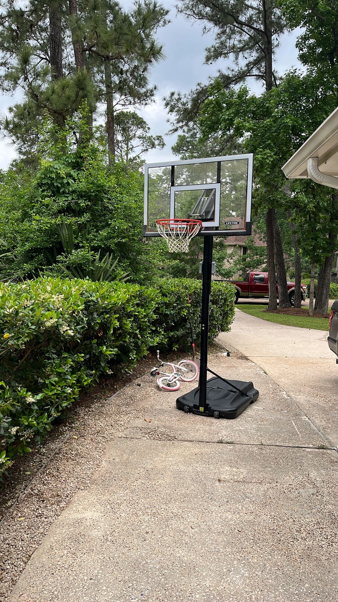 Lifetime Basketball Hoop