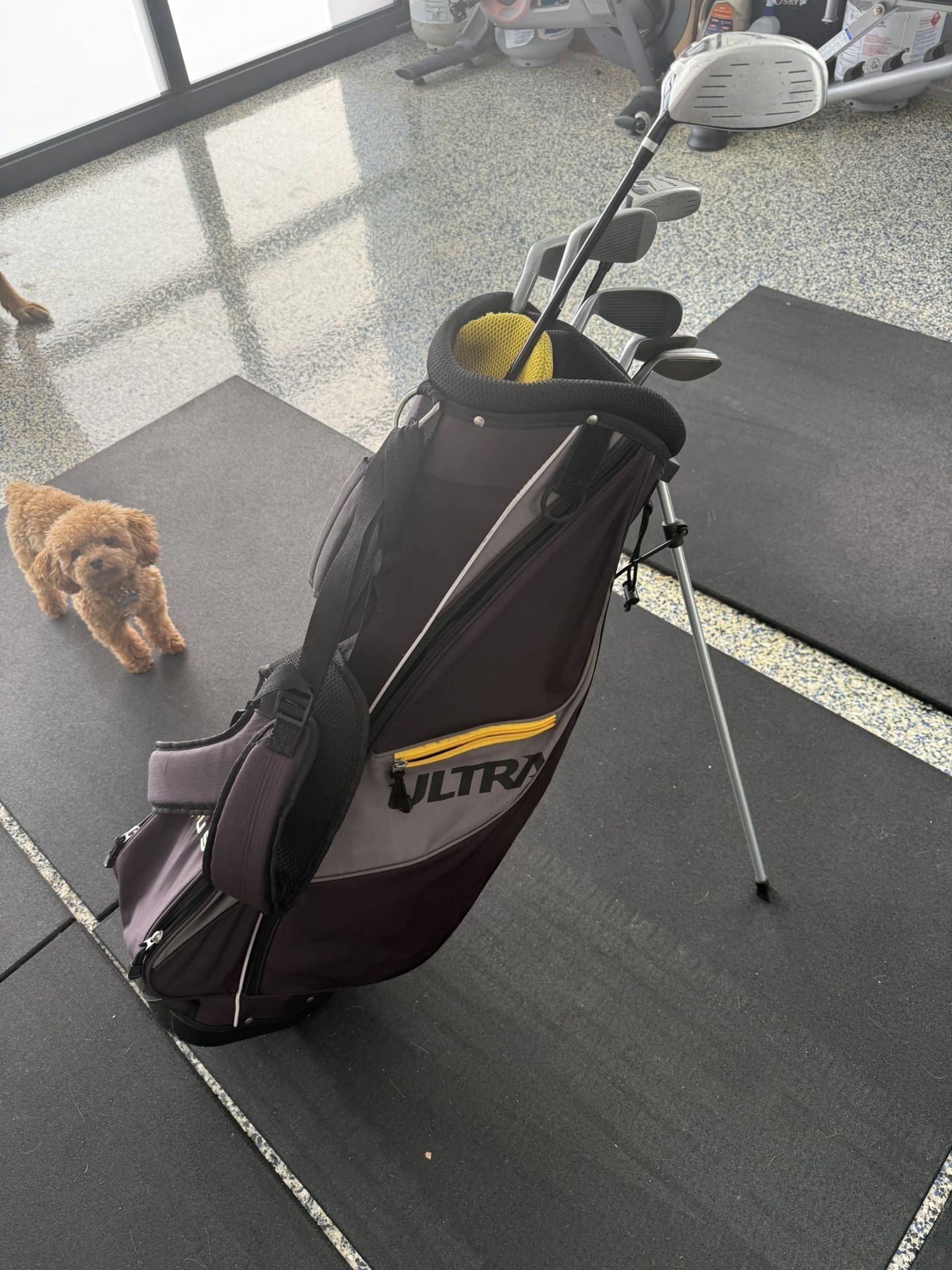 Golf Bag With Clubs