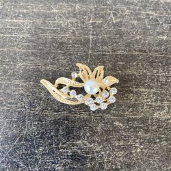 Brooch pin