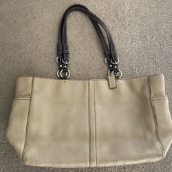 Large Women’s Handbag