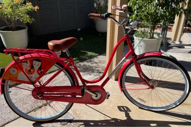 Electra Amsterdam Collection "Madonna and Child" Cruiser