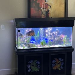 Fish Tank Design And Set Up 