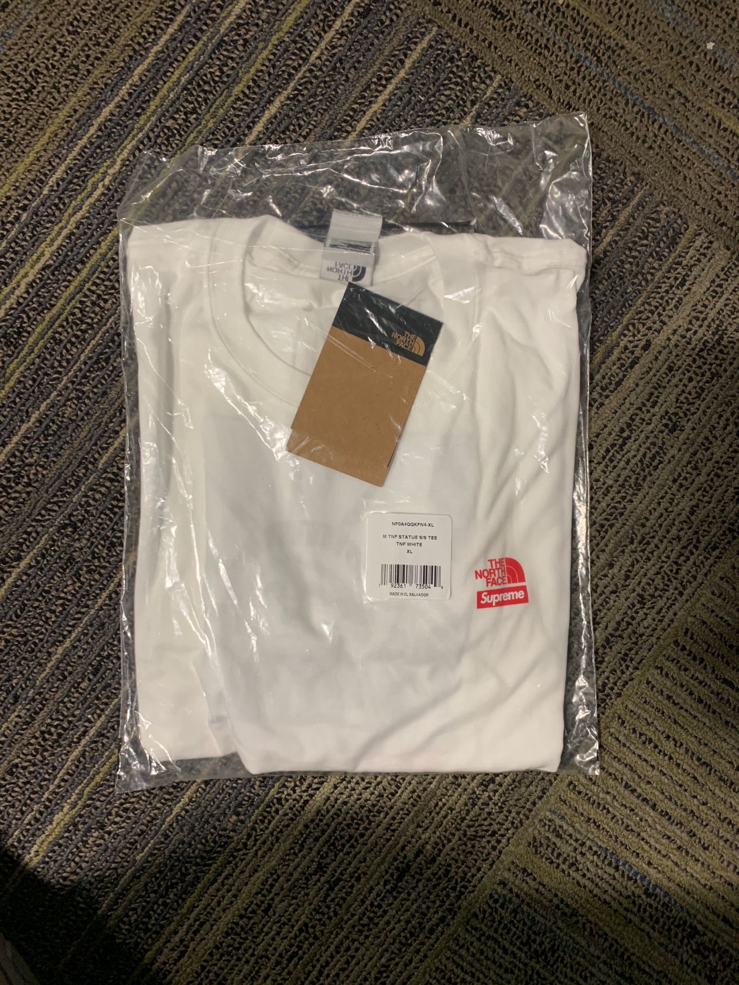 Supreme the North face statue tee XL