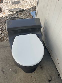 Kohler Toilet