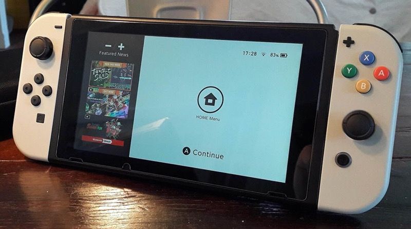 *READ* Custom Nintendo Switch / Pro Controller