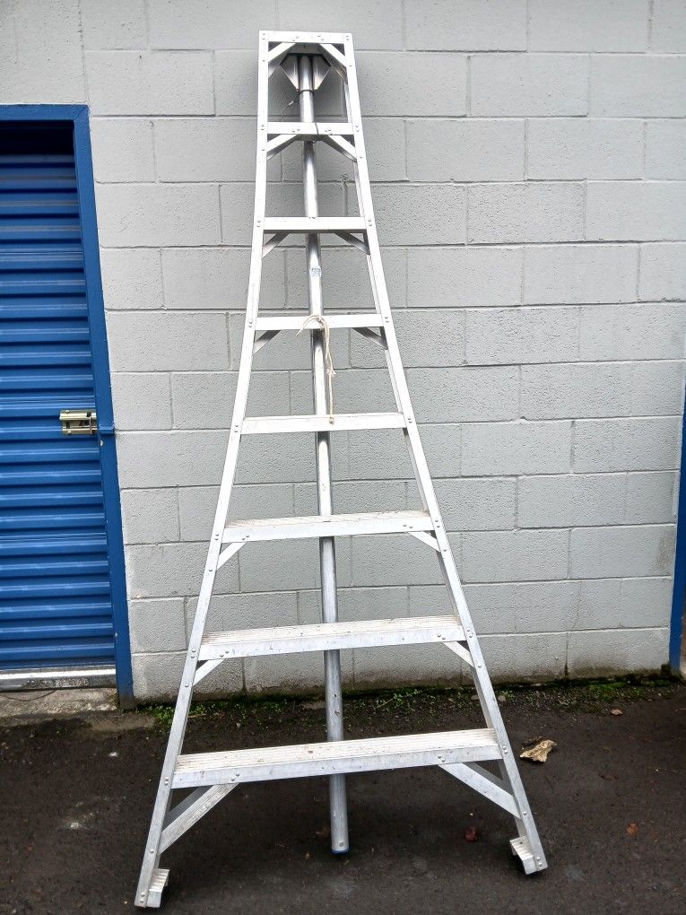 Orchard Ladder 8"