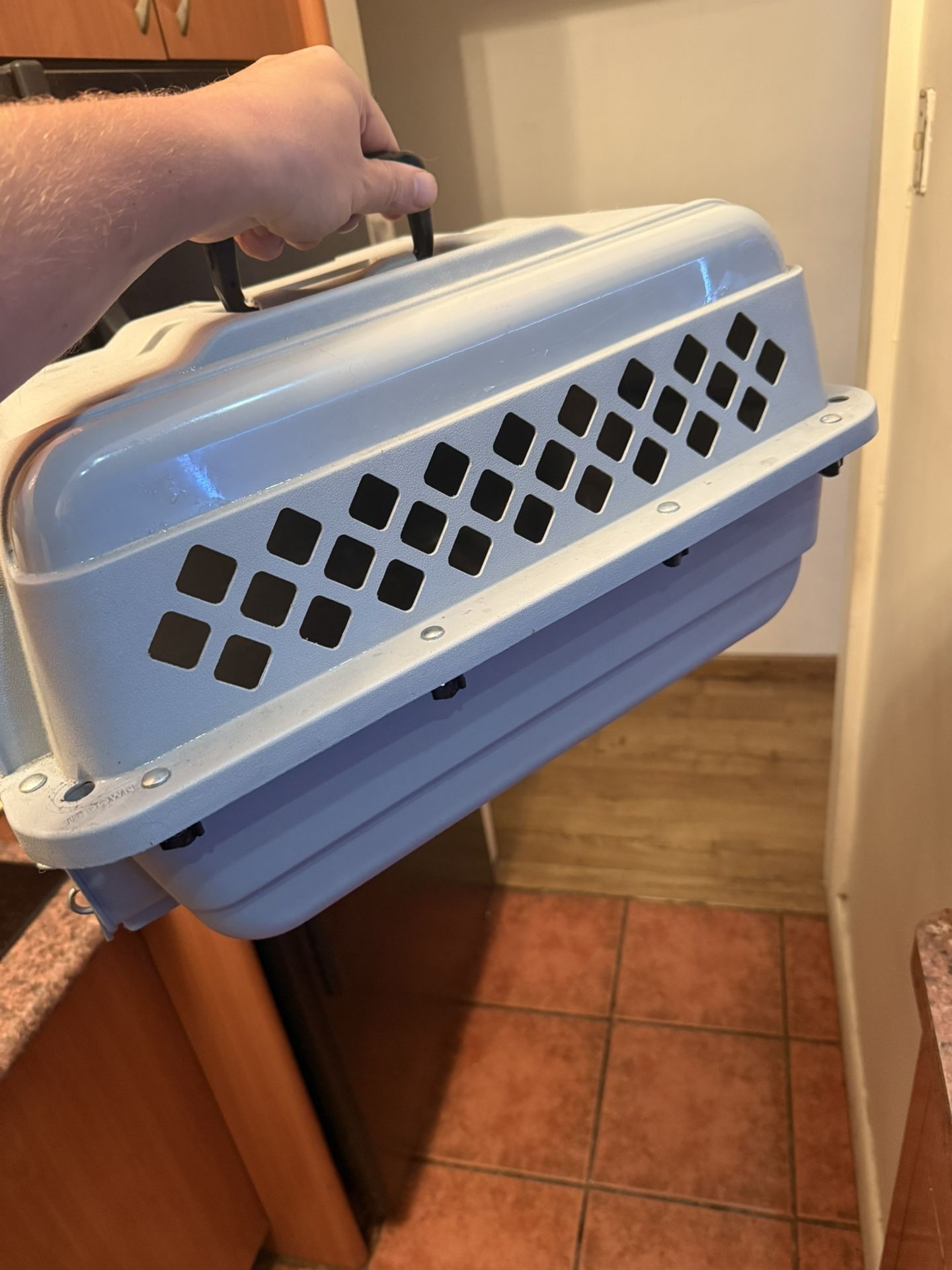 EveryYay Classic Going Places Pet Kennel, 19" L X 13" W X 11" H