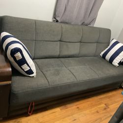 Free Couch with Storage and Turn Bed