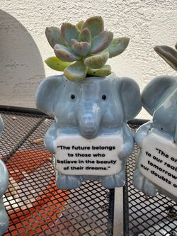 cute motivational quote planter with plant gift idea