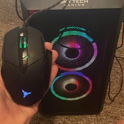 Sky tech Gaming Pc