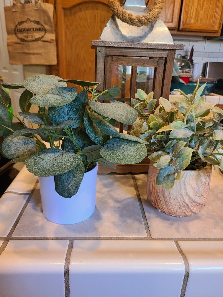 Small Faux Plant Bundle. 8 Dollars For Both!
