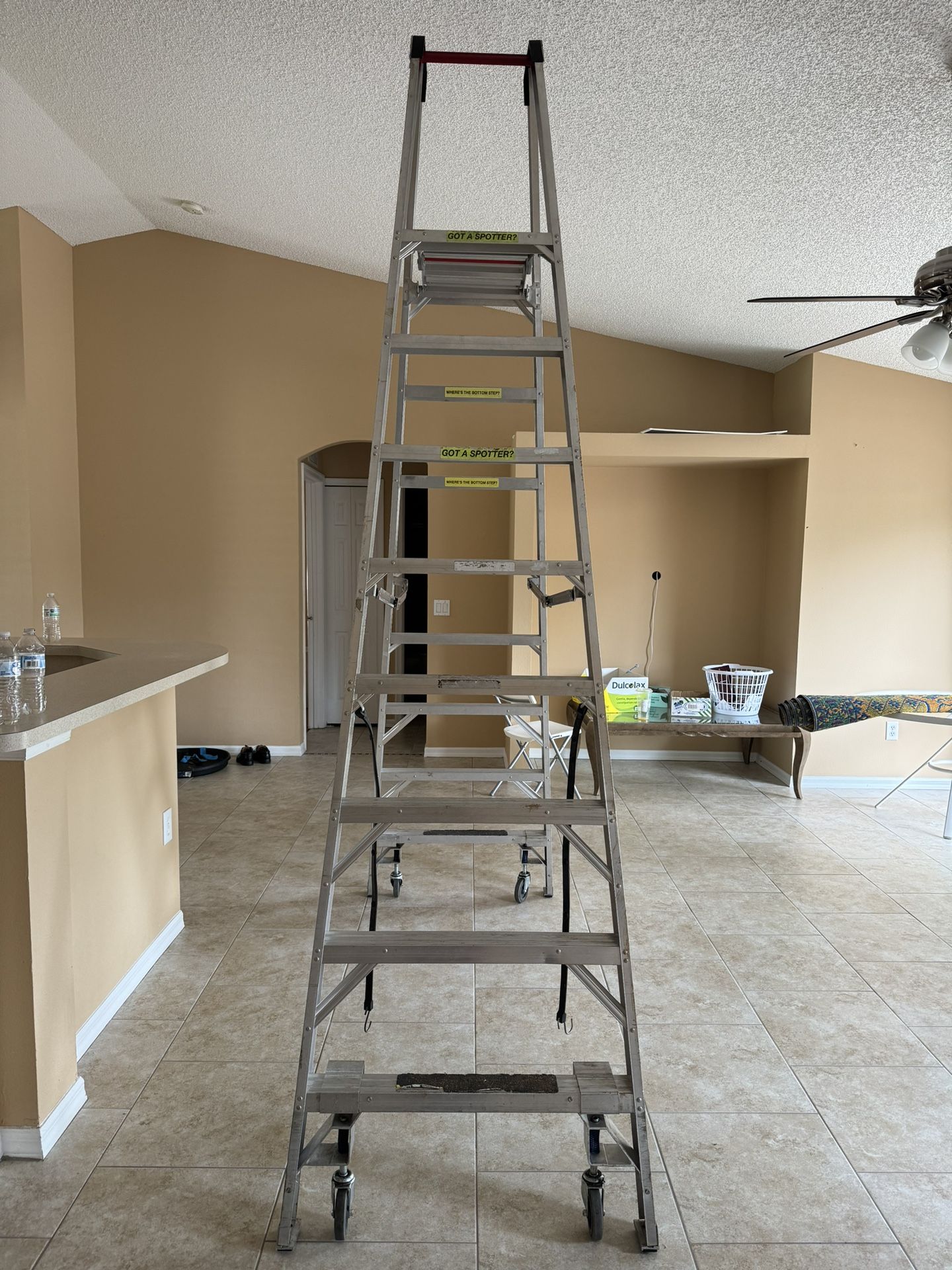 ladder 10 FT
