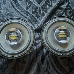 Nice Pioneer TS-D160R Speakers