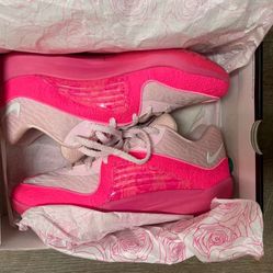 KD16 NDR