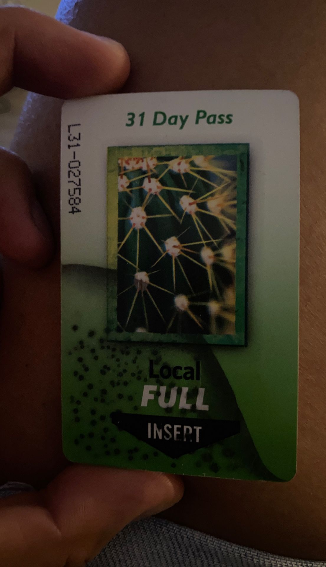 31 day bus pass