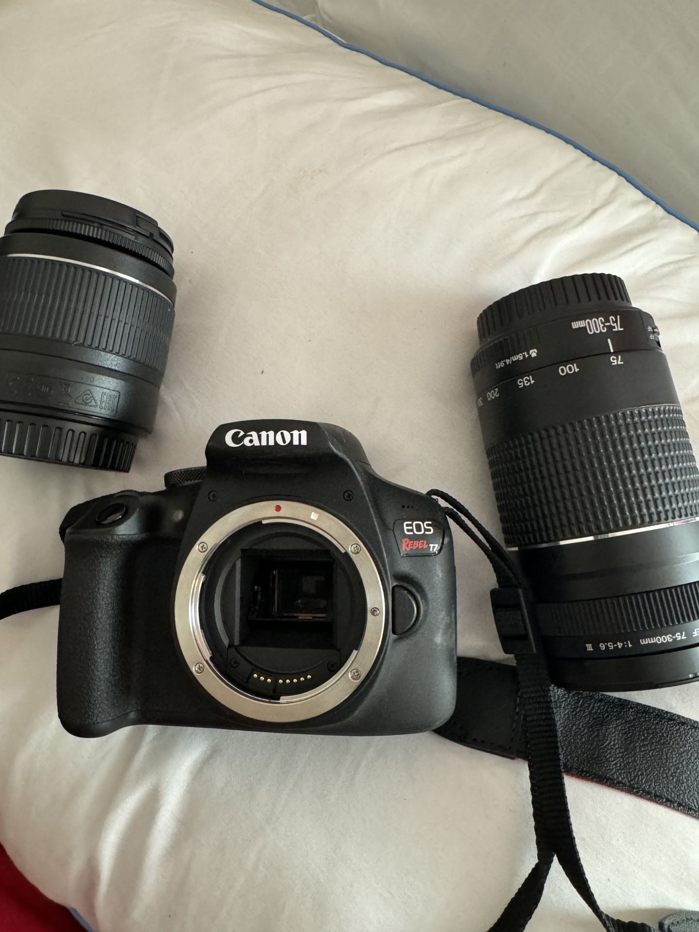 Rebel Camera
