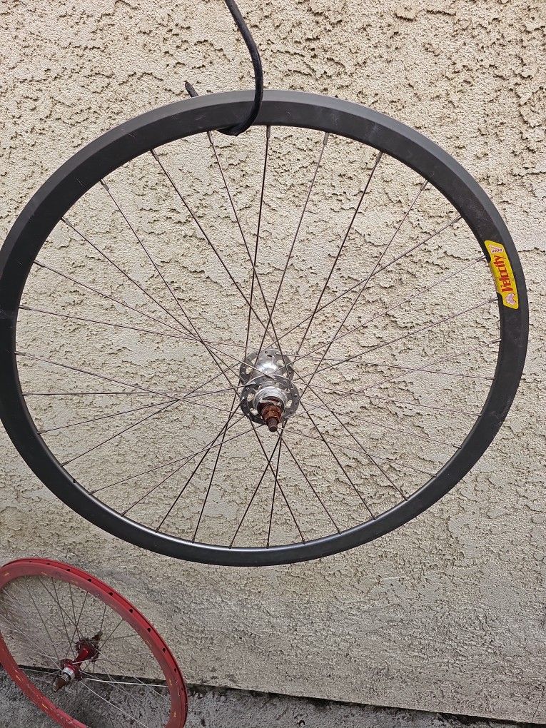 700c Velocity Fixed Gear Wheel Rim Bike
