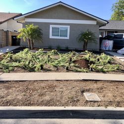Ground Cover Plants (18 One Gallons) What You See Is What You Get (Myoporum parvifolium)