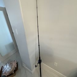 Saltist 6500H Spinner with Custom Biscayne Rod