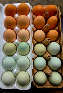 Farm Fresh Eggs