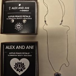 Silver Necklace and Earring Set