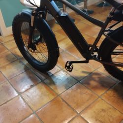 Revi Custom 26-in E Brake