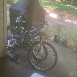 Kid Bike And Adults Bike 