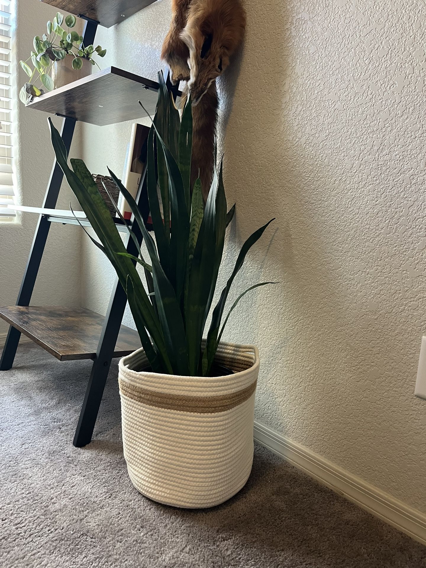 Planter