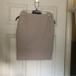 H&M Skirt 