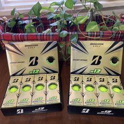 (2 Dozen) Bridgestone Golf Balls