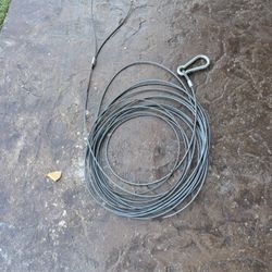 Steel Cable With Clip (great For Big dogs)