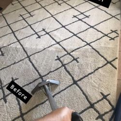 Professional Steam Cleaner 