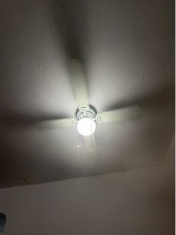 Ceiling fan/ ventilador