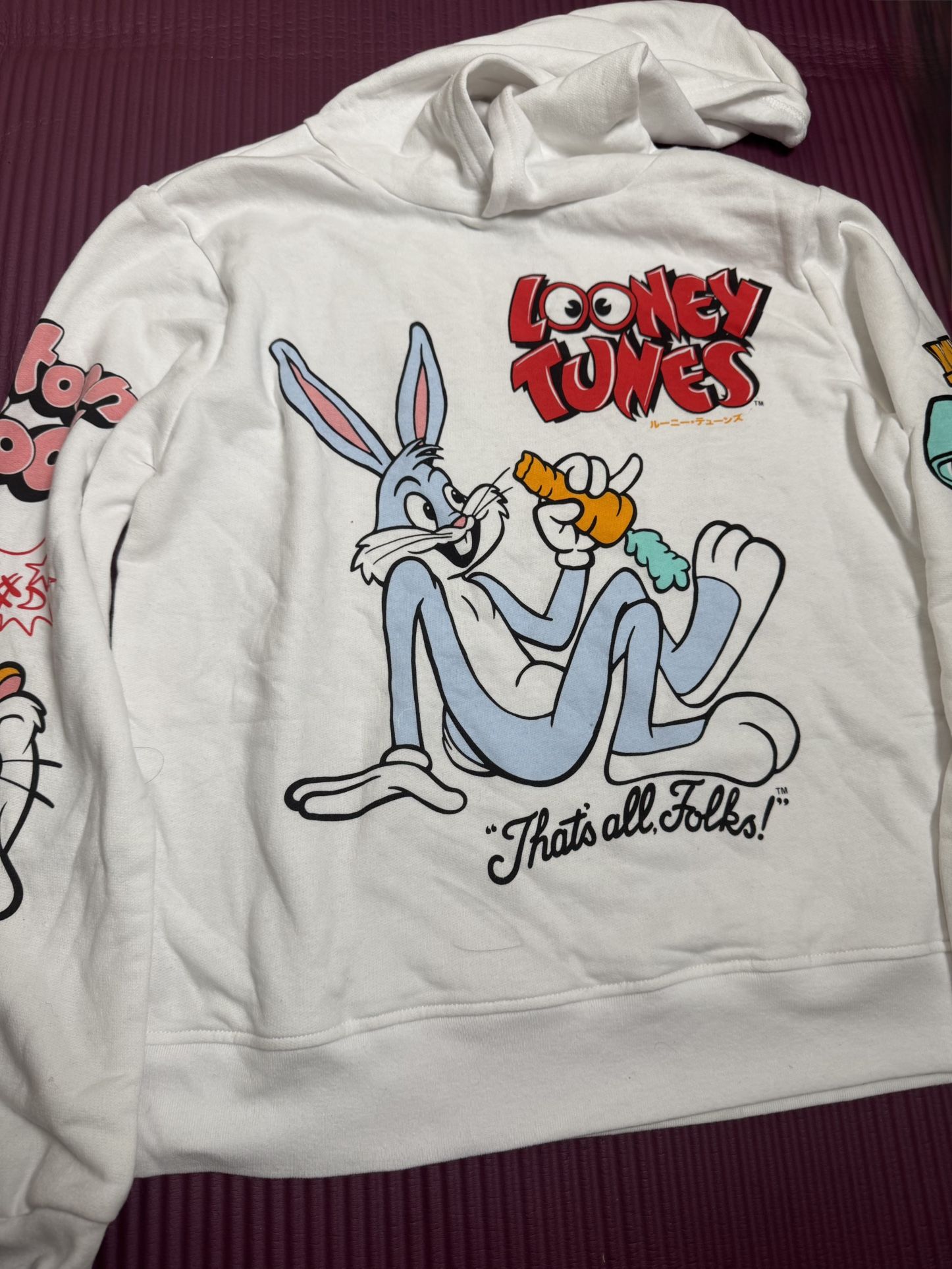 12 Through 14 Looney Tunes Sweater