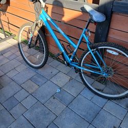 Girls Bike$10