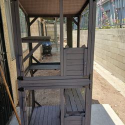 Aituvin Catio 52"x36"