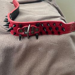Medium Red’ Dog Collar’ 
